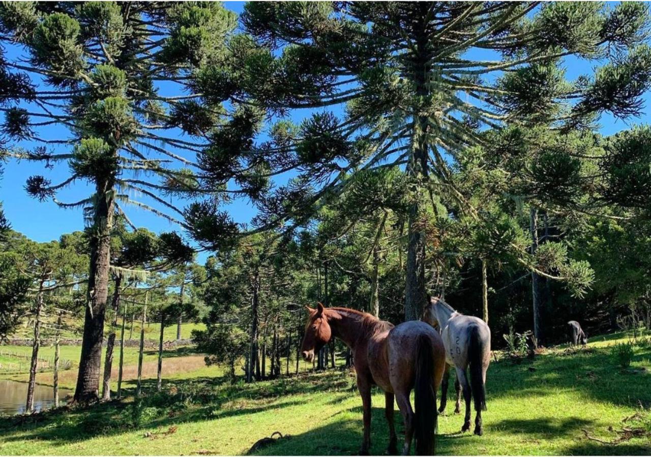 Fazenda Santa Rita Turismo Rural Bom Jardim da Serra Extérieur photo
