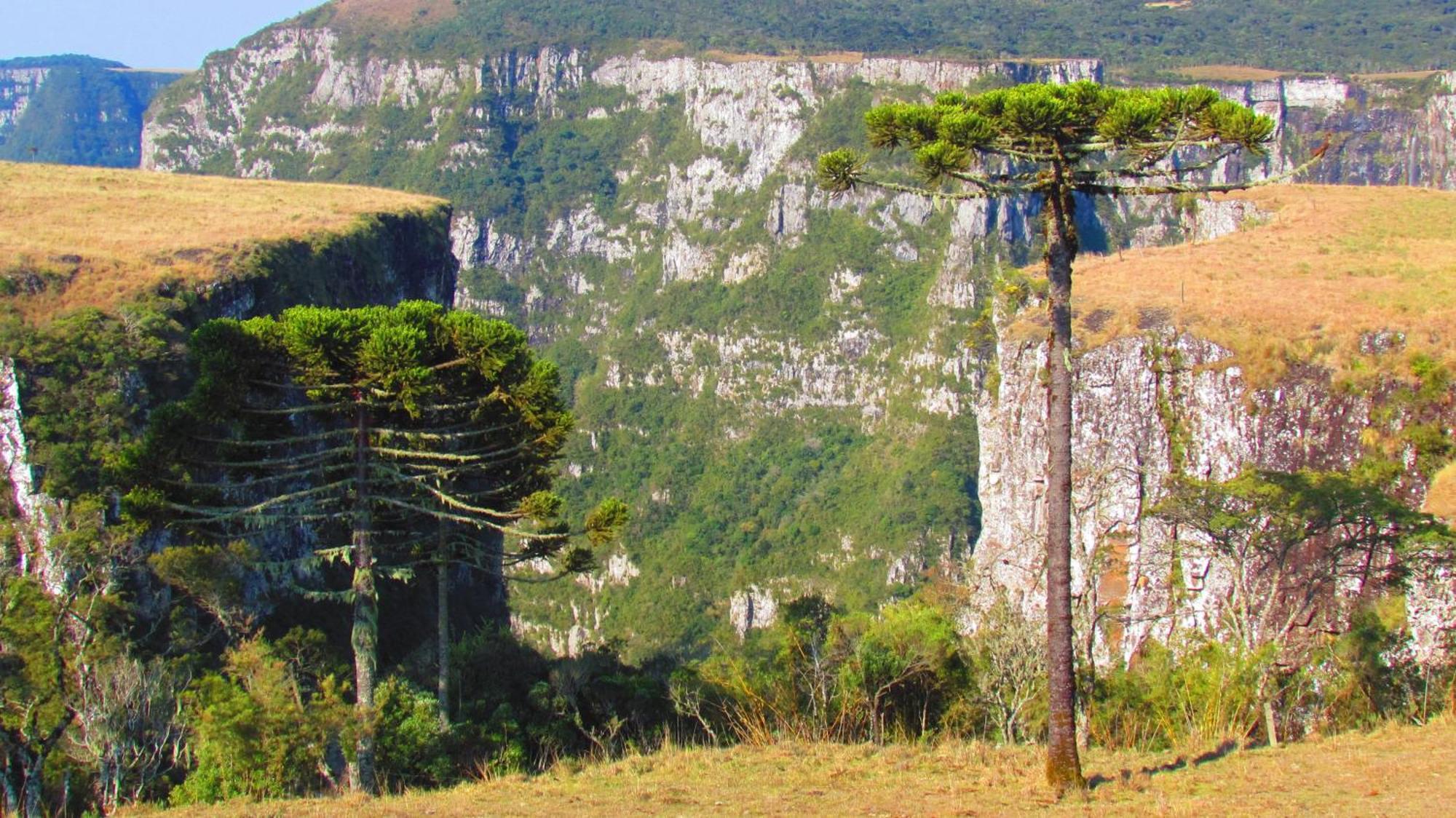 Fazenda Santa Rita Turismo Rural Bom Jardim da Serra Extérieur photo